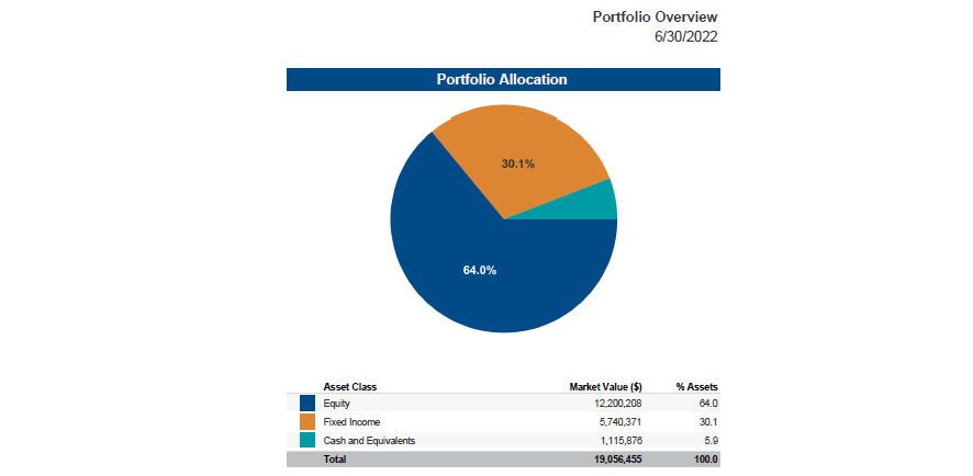 pie chart of the portfolio overview by 6/30/22