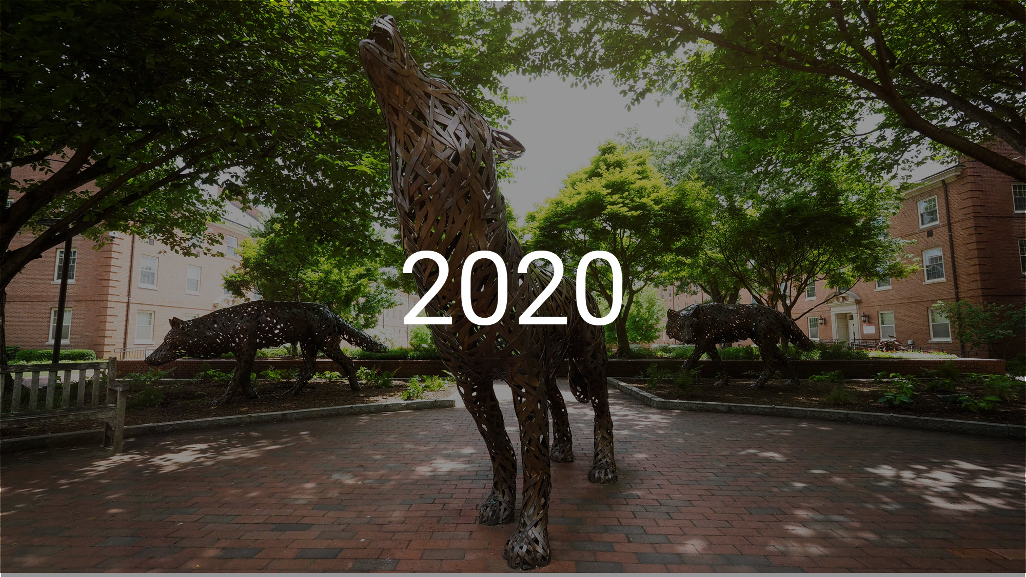 wolf statue on campus